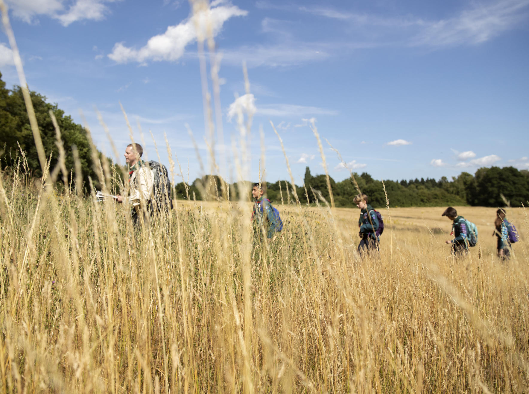 bambini e adulti che camminano nei campi