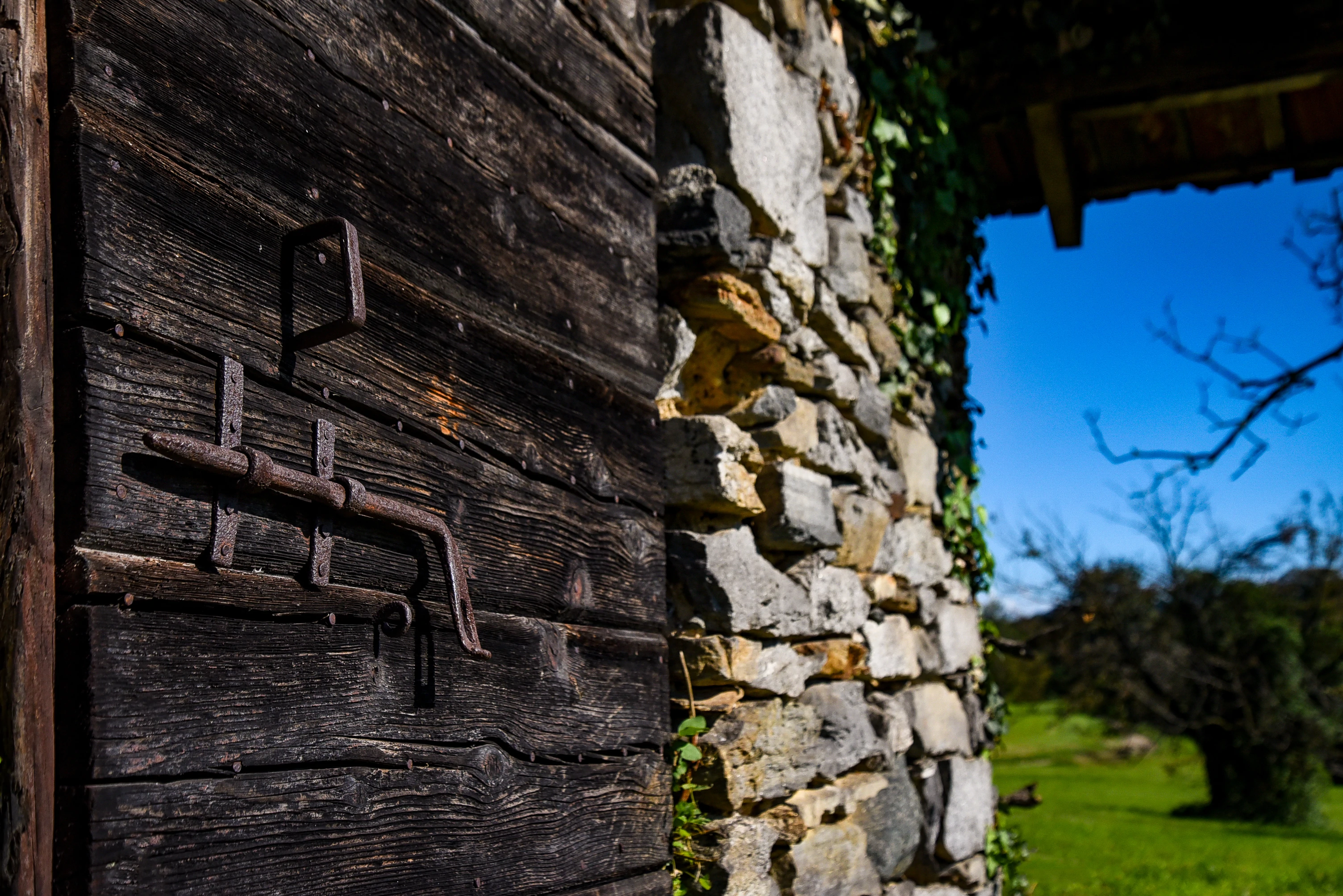 dettaglio percorso casale litta