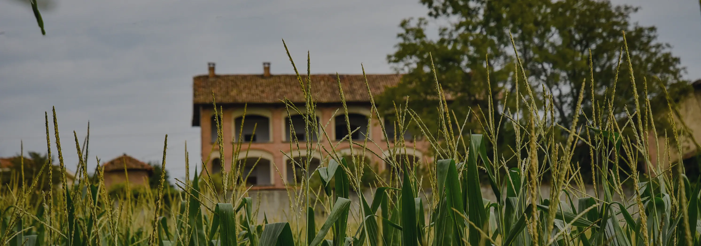 dettaglio percorso sumirago