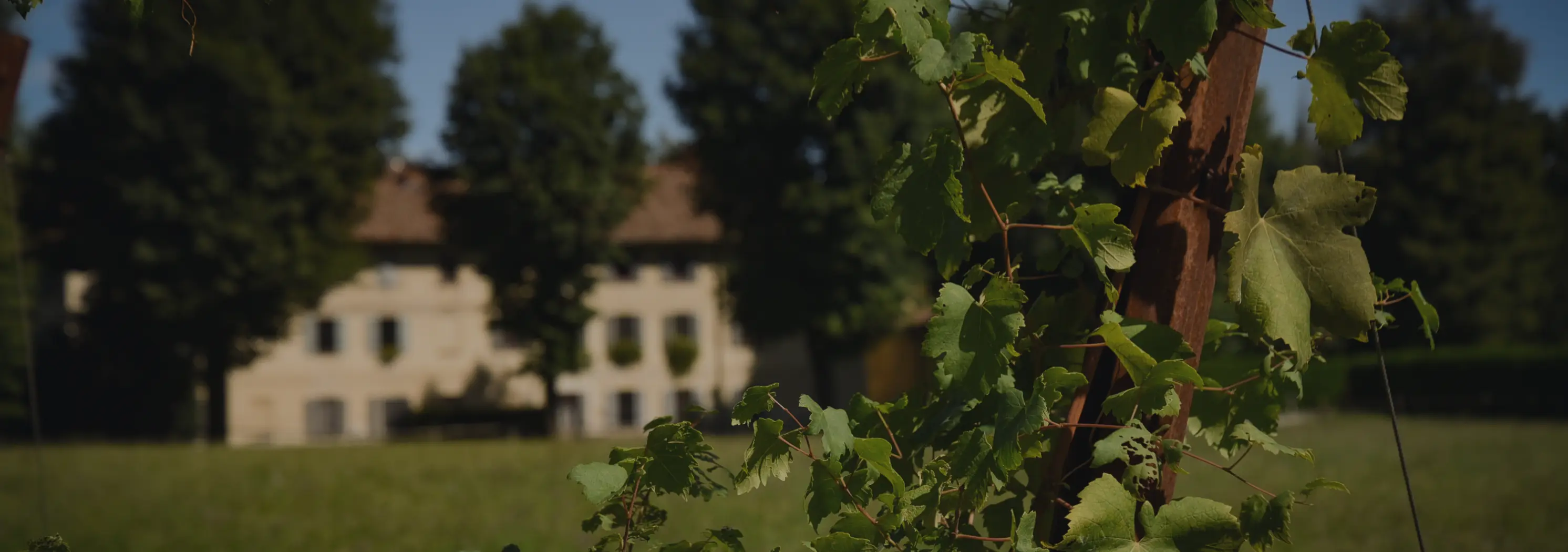 dintorni di sumirago - caidate