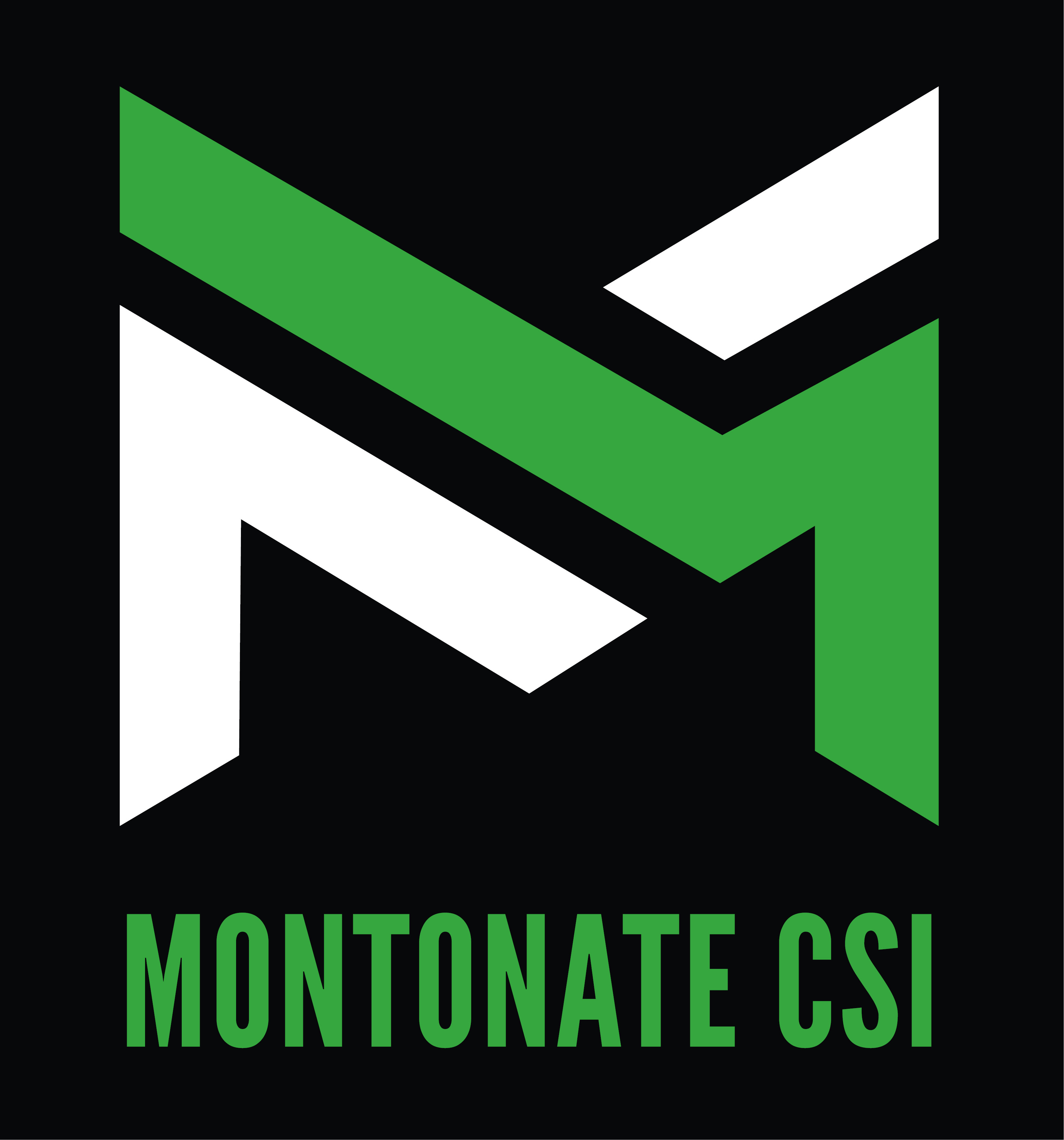 logo csi montonate