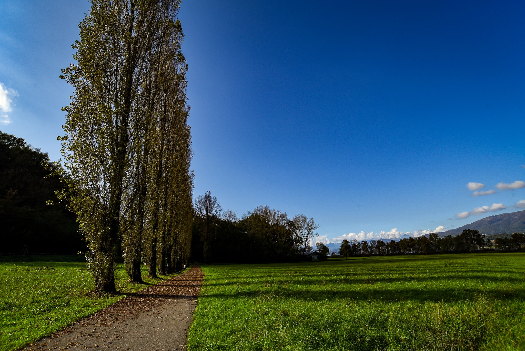 ciclabile lago di varese - galliate lombardo