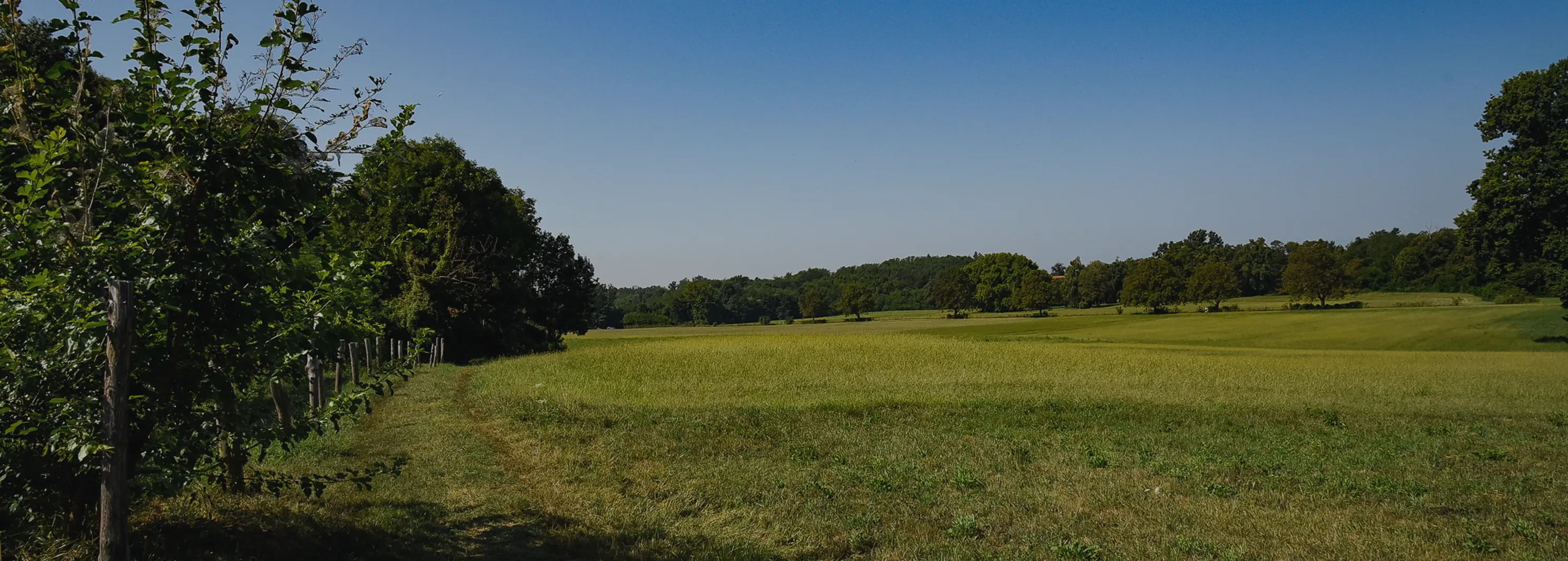 Crosio della Valle Piana Vegonno